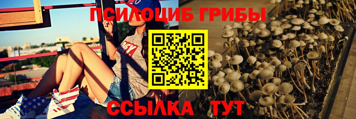 Псилоцибиновые грибы Magic Shrooms  Сосновоборск 
