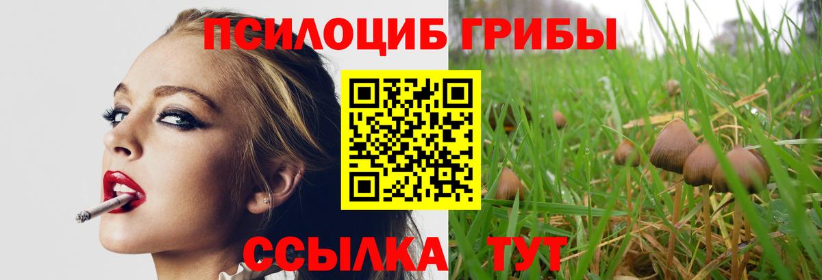 Сосновоборск  Псилоцибиновые грибы MAGIC MUSHROOMS  Вход с VPN  Галлюциногенные грибы Cubensis 